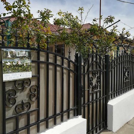 Delta Florilor Otel Sulina Dış mekan fotoğraf