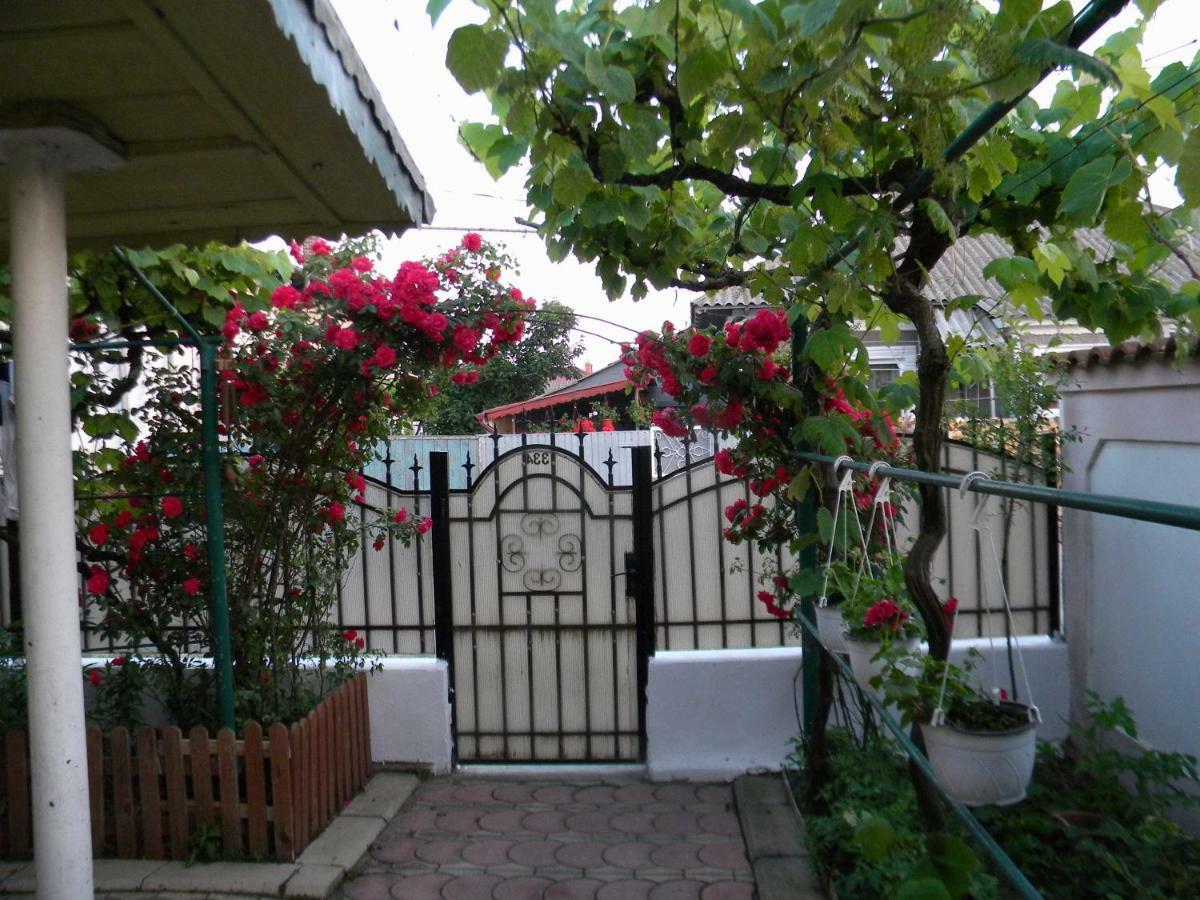 Delta Florilor Otel Sulina Dış mekan fotoğraf